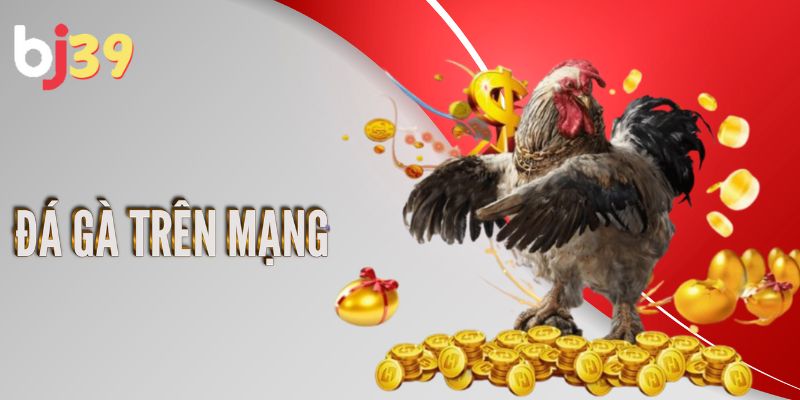 Tìm hiểu về hình thức đá gà trên mạng