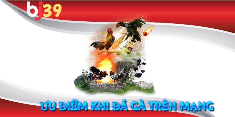 Những ưu điểm khi chơi đá gà trên mạng