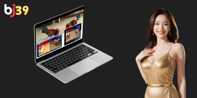 Trải nghiệm đá gà trực tuyến với bình luận viên tiếng Việt