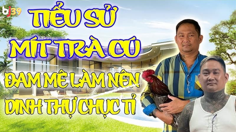 mít trà cú đá gà THOMO mít trà cú đá gà THOMO
