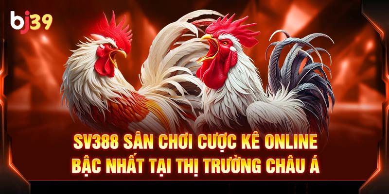 SV388 đá gà tốt nhất Việt Nam Đôi nét về SV388 đá gà tốt nhất Việt Nam