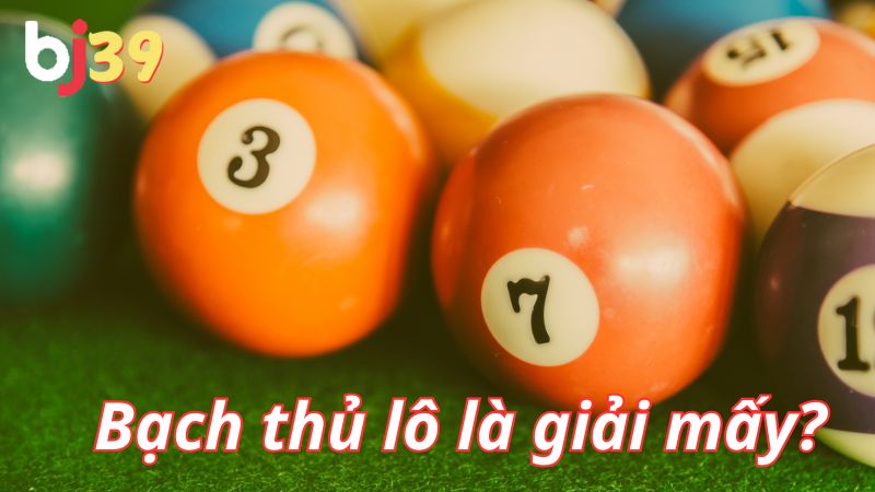 Bạch thủ lô là gì? Bạch thủ lô là gì? Bạch thủ lô tính giải mấy?