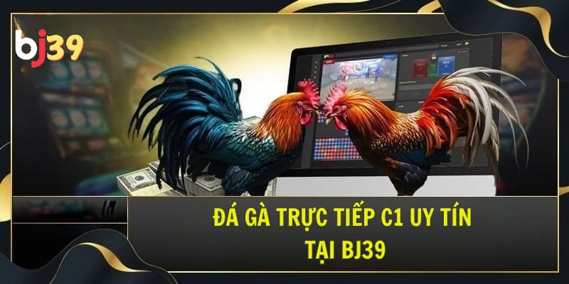 Đá gà trực tiếp C1 Đá gà trực tiếp C1