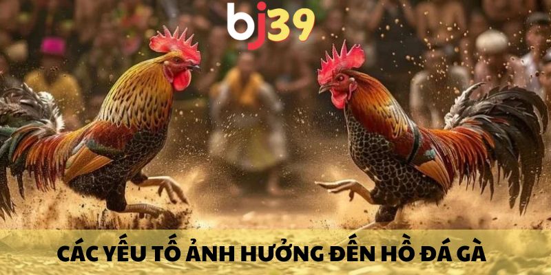 Các yếu tố ảnh hưởng đến hồ đá gà