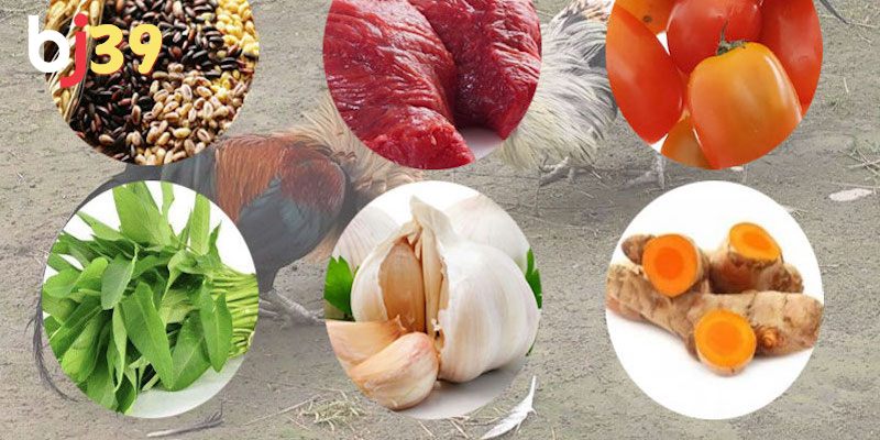 Thịt tươi sống - Nguyên liệu để gà đá mau sung sức