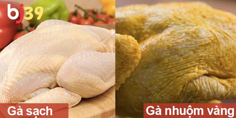 Cách phân biệt gà da vàng tự nhiên và gà nhuộm bằng chất vàng ô