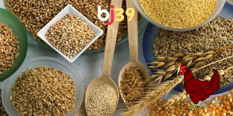 Các phương pháp kết hợp ngũ cốc hiệu quả