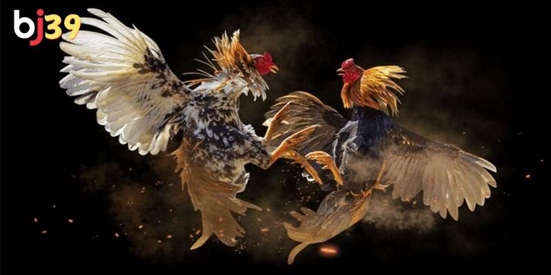 Bạn cần có chiến thuật để tăng tỷ lệ thắng
