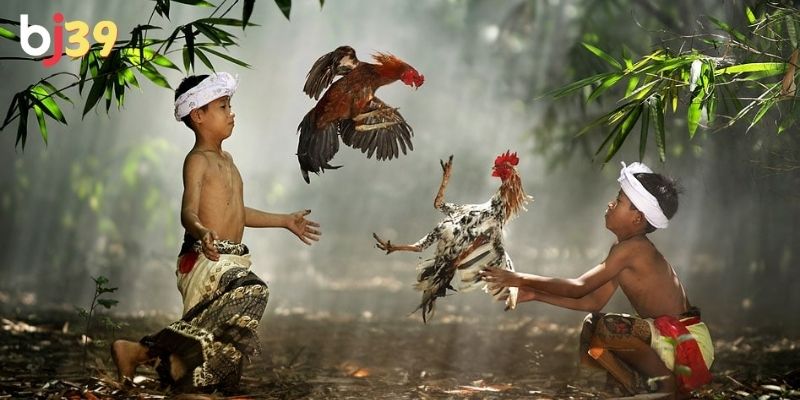 Người chăm sóc và huấn luyện chiến kê