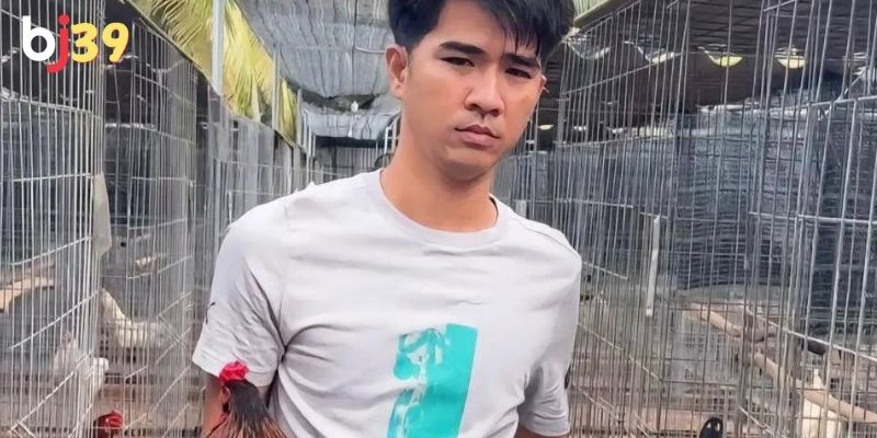 Sư kê nổi tiếng trong làng đá gà