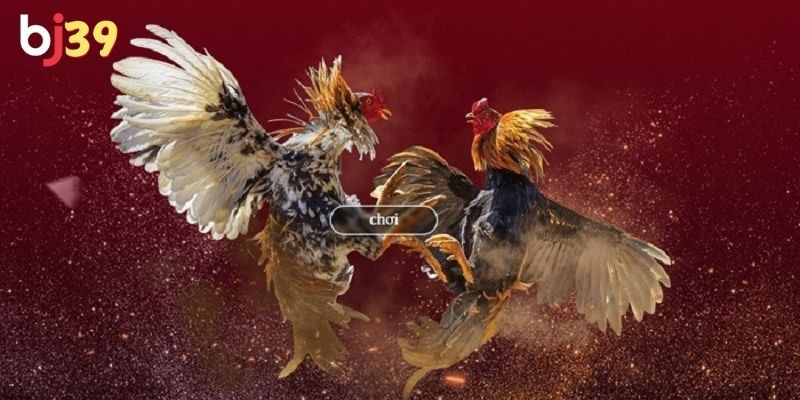 Cách tham gia cá cược đơn giản